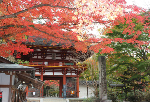 Murou-ji / 室生寺
