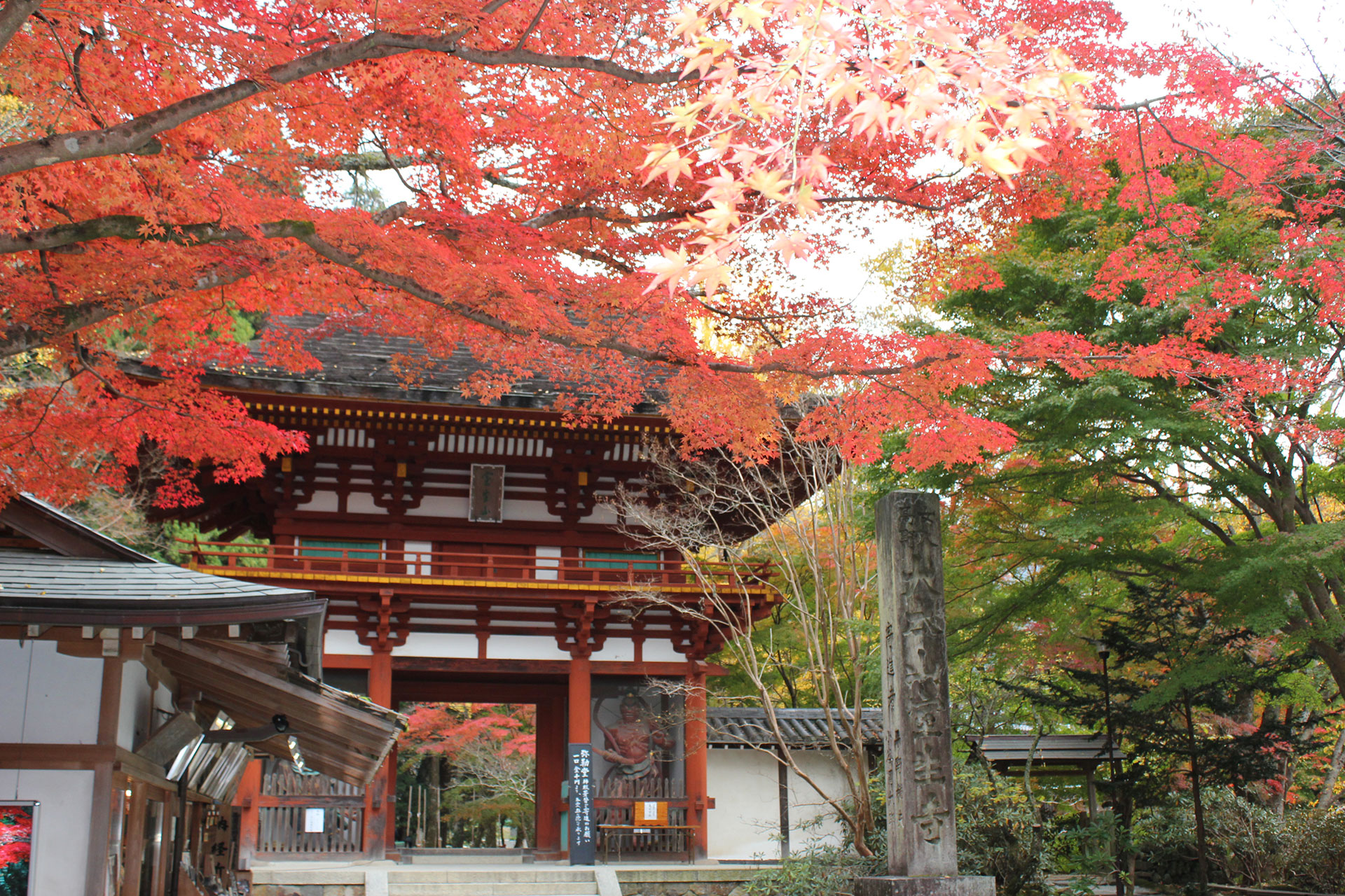 Niomon Gate / 仁王門