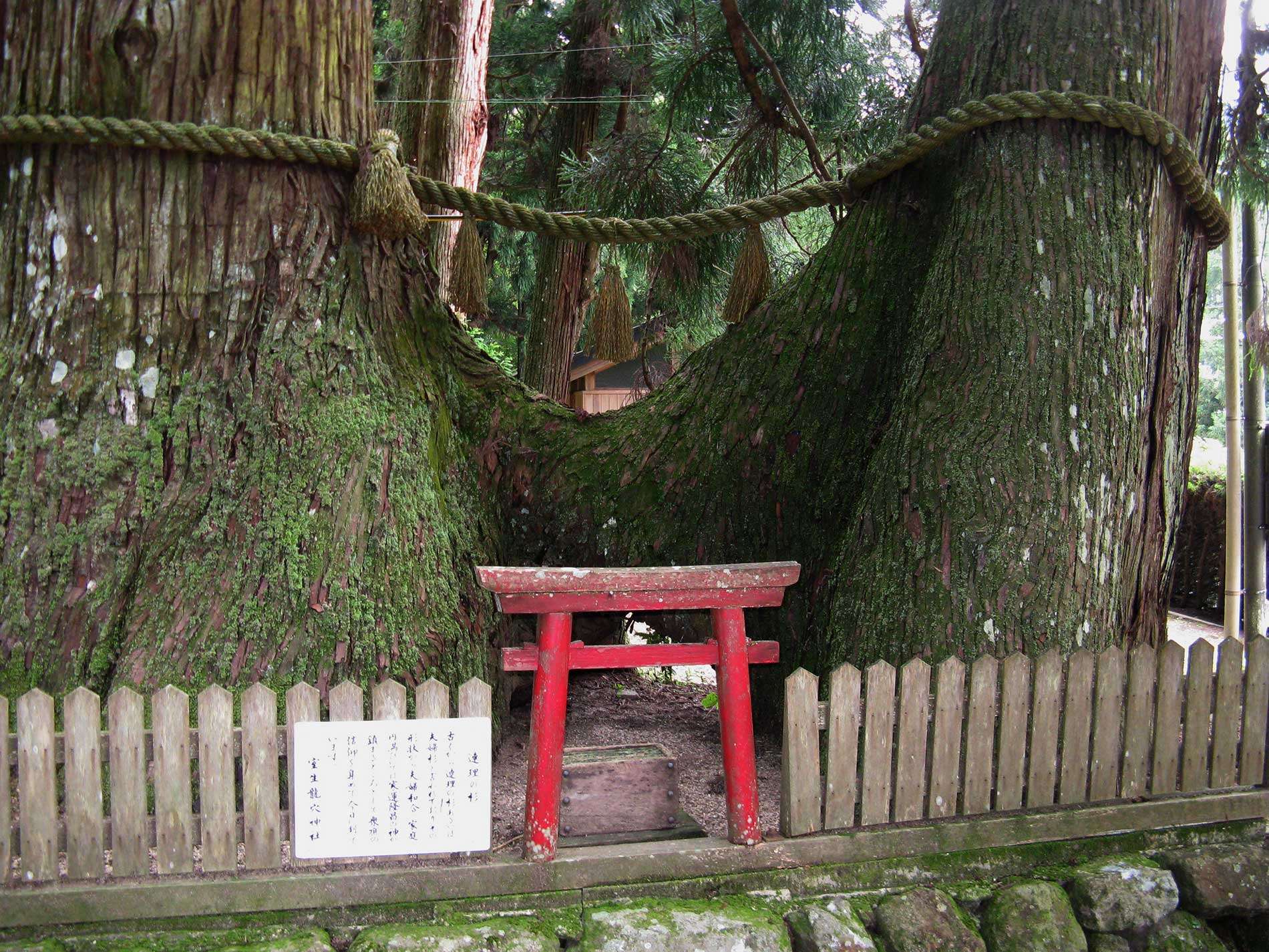 Ryuketsu Shrine / 龍穴神社