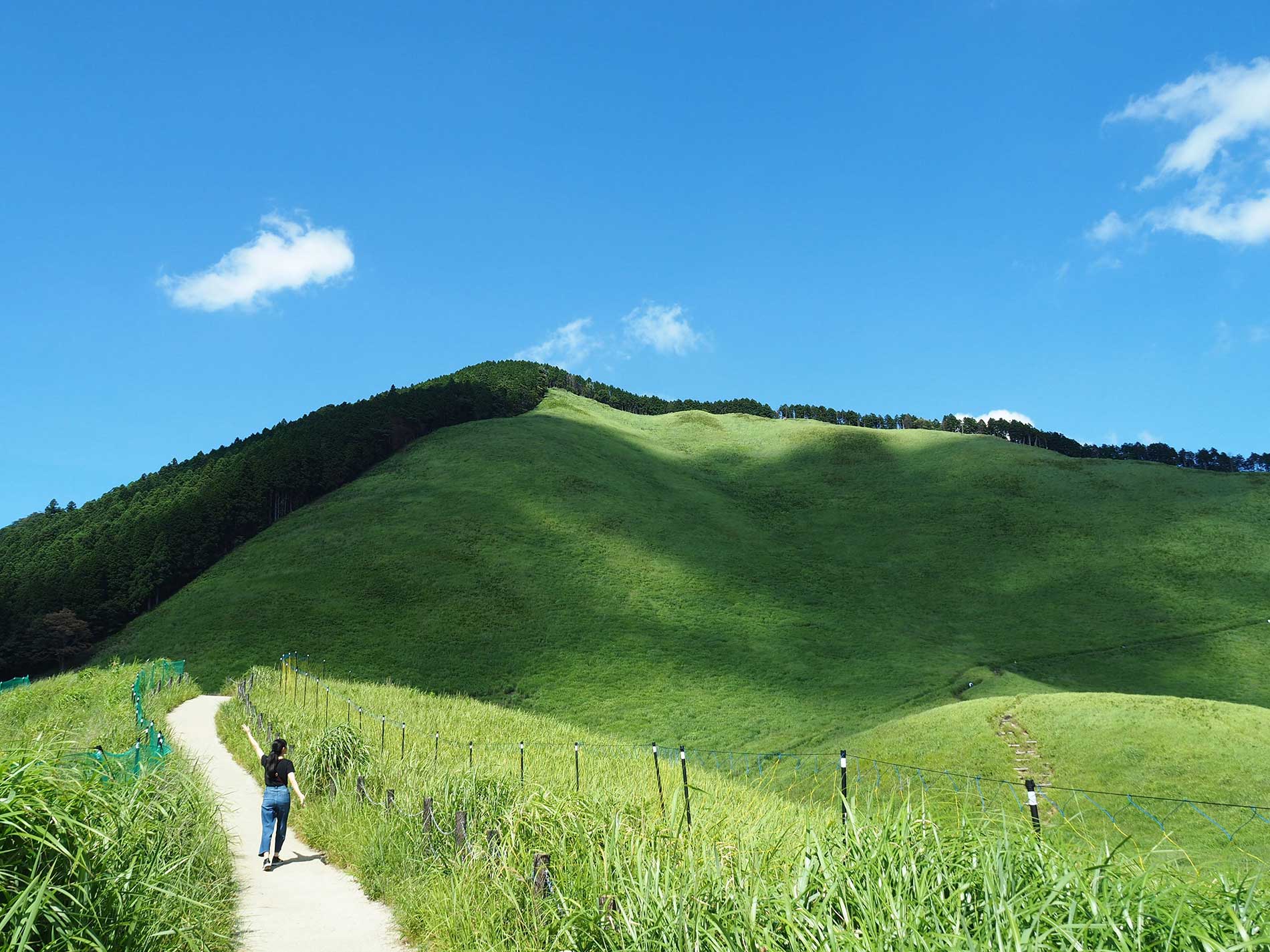 Soni Highland in summer / 夏の曽爾高原