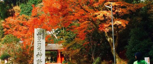Kono-ji Temple in Fall