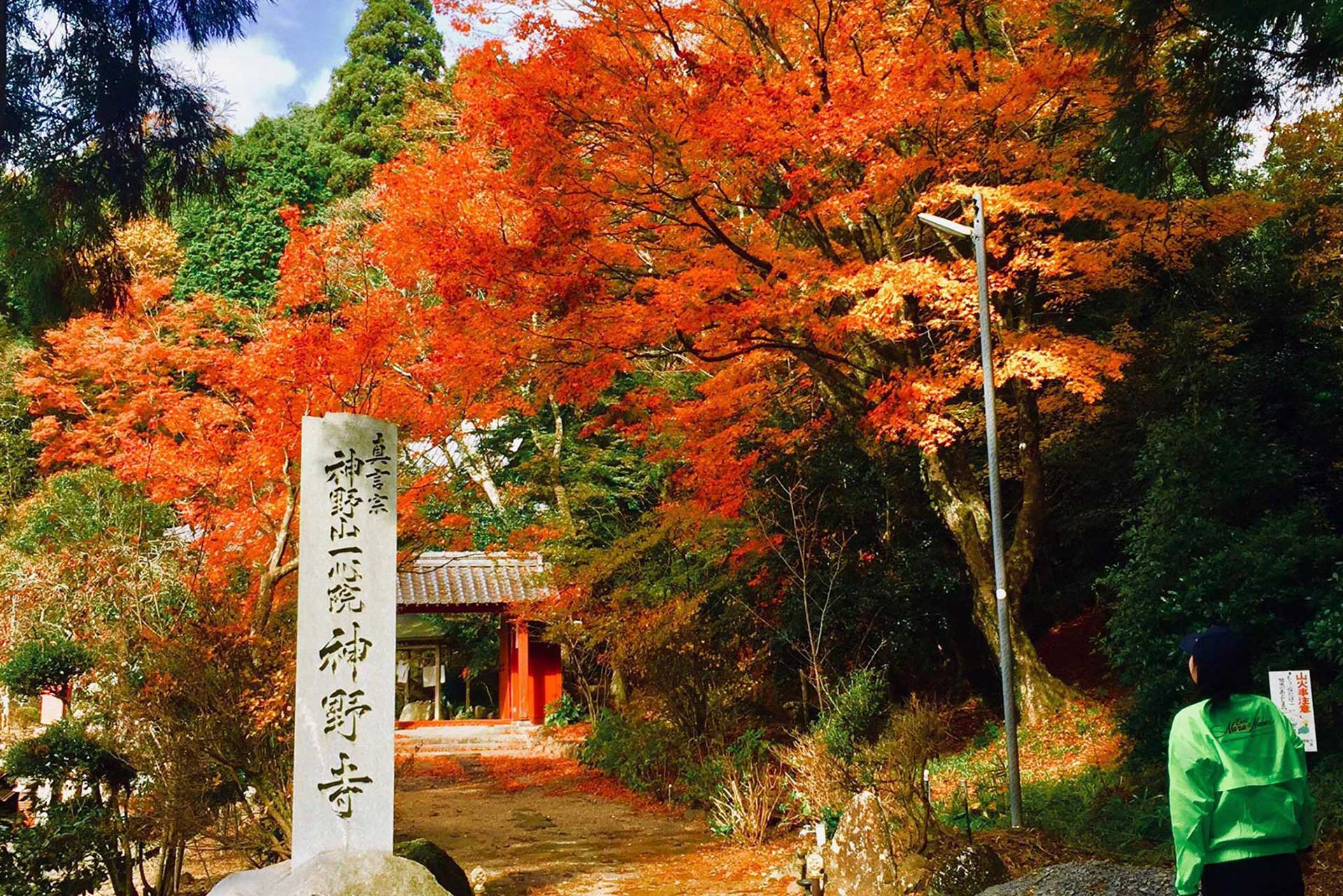 Kono-ji Temple in Fall