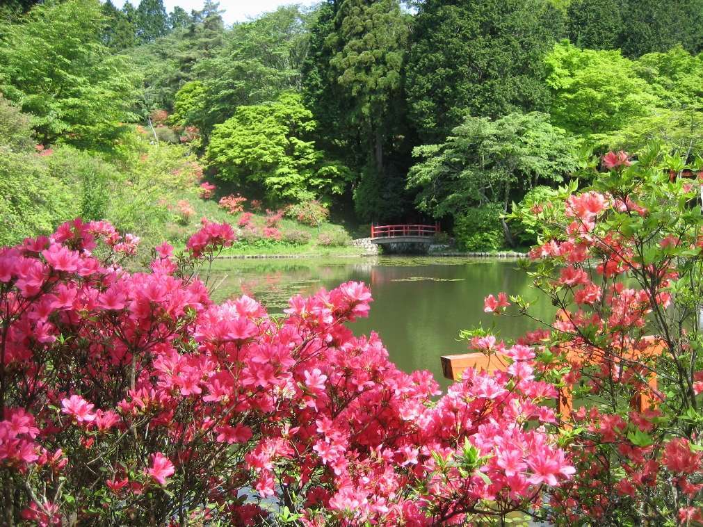 Torimiyama Park in early summer