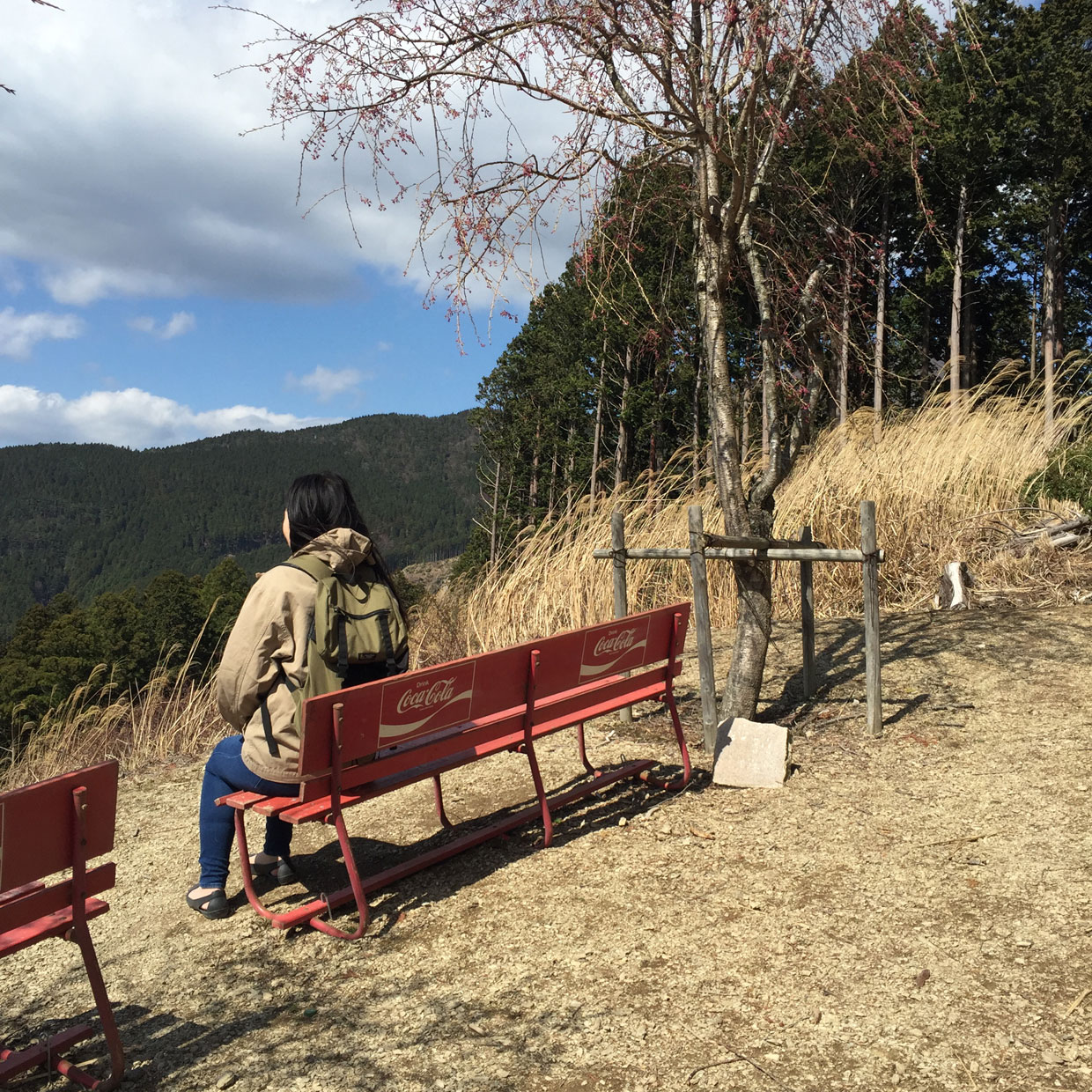 約1000本のしだれ桜が圧巻の 高見の郷 東奈良名張へようこそ