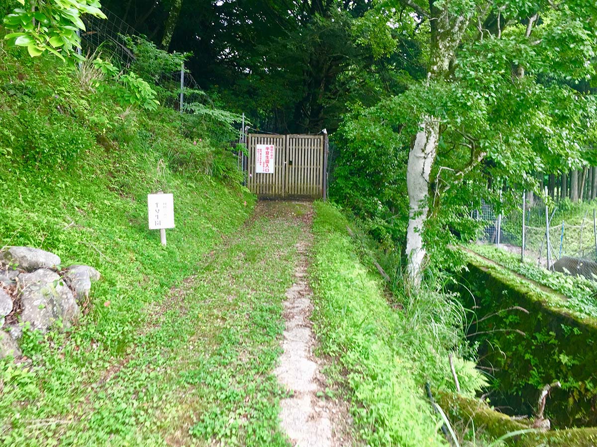 Door to the garden / 半夏生園への扉