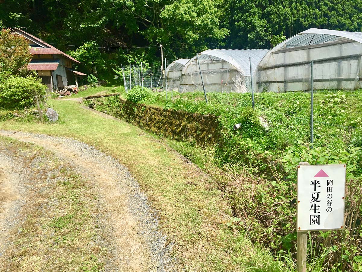 Sign of Lizard's Tail Garden / 半夏生園の看板