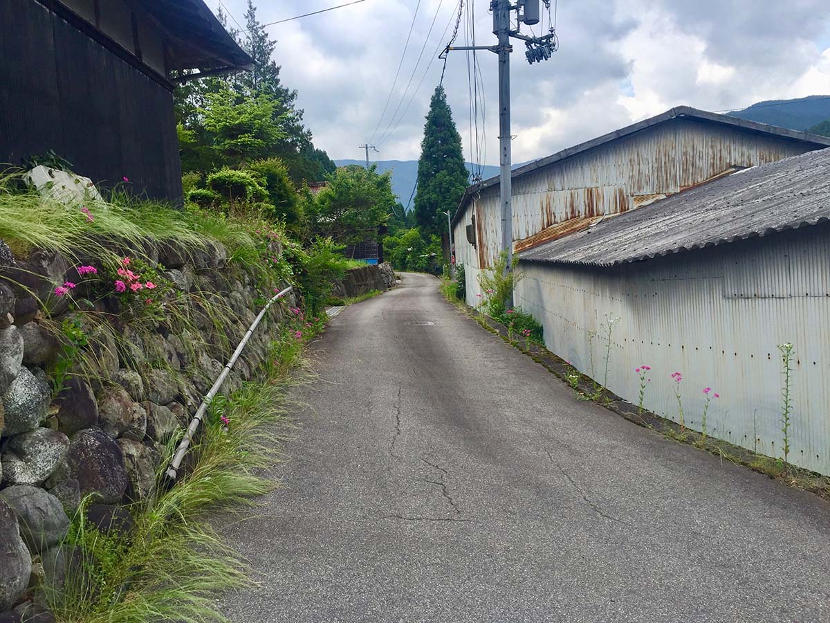 Path leading to the garden / 半夏生園に続く道