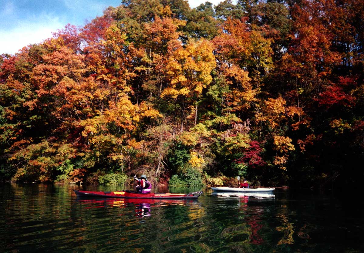 Autumn leaves at Shorenji Lake / 青蓮寺湖の紅葉