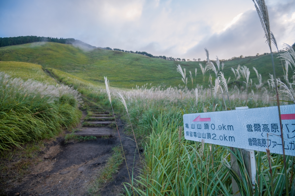 A path through the plateau