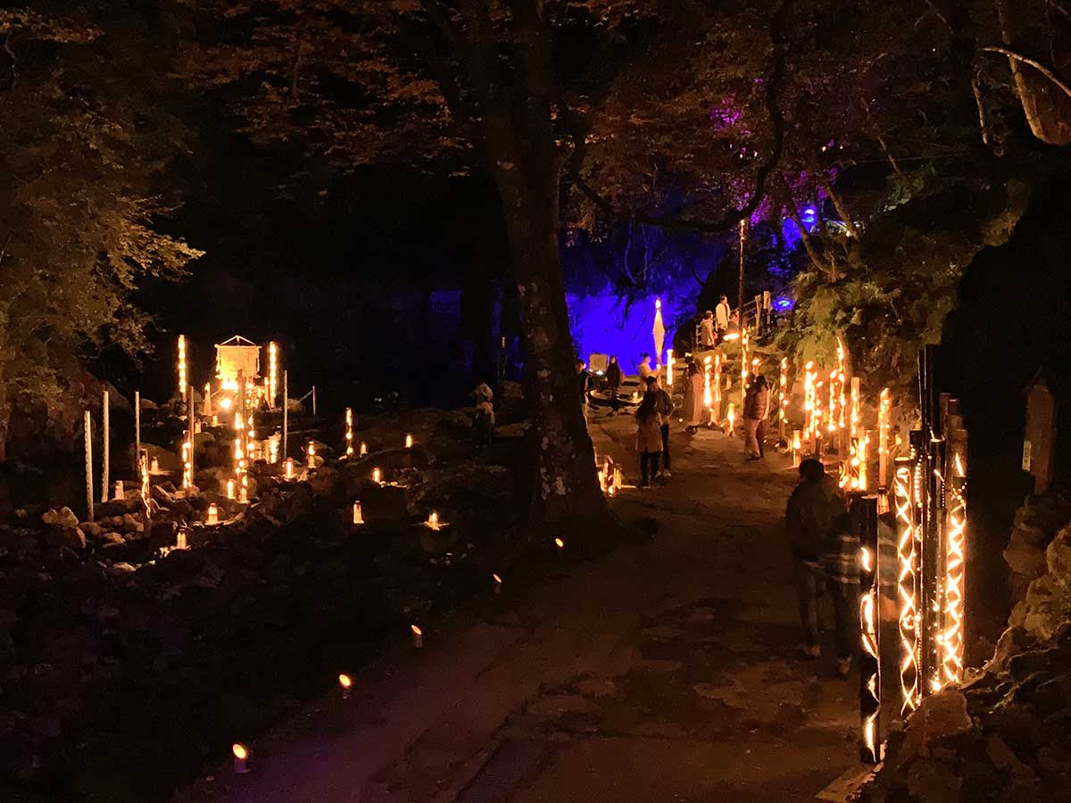 Bamboo lanterns / 竹灯り