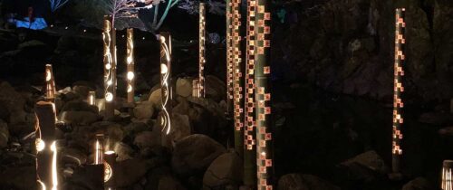 Bamboo lanterns / 竹灯り