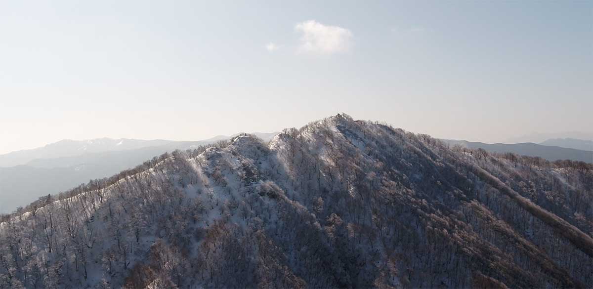 高見山 絶景樹氷の世界レポート 東奈良名張へようこそ