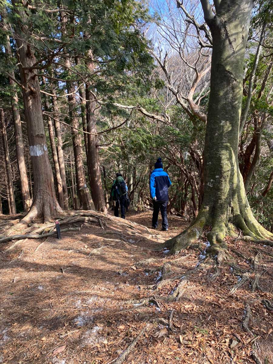 Climbing Mt. Takami / 高見山登山中