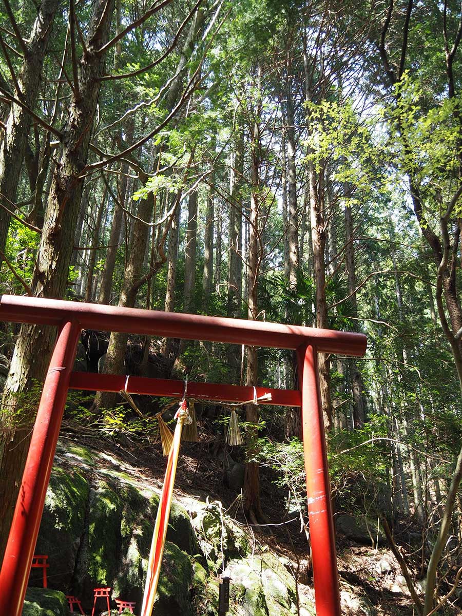 Torii gate at Himeshi Myojin / 姫石明神の鳥居