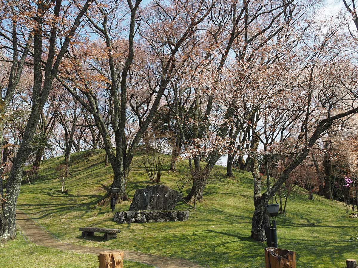 Maruyama Park / 丸山公園