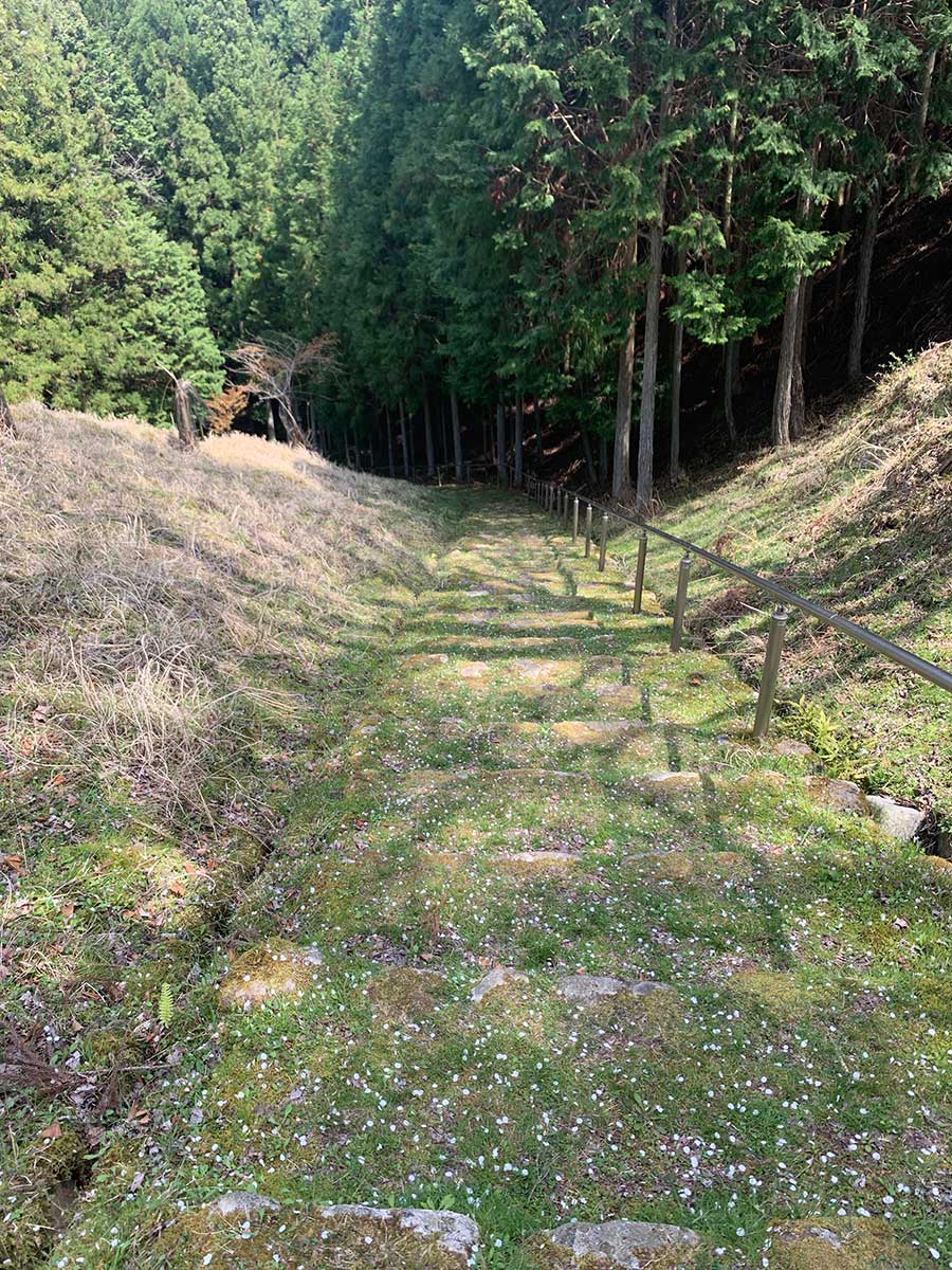 Path to Himeshi Myojin / 姫市明神への道