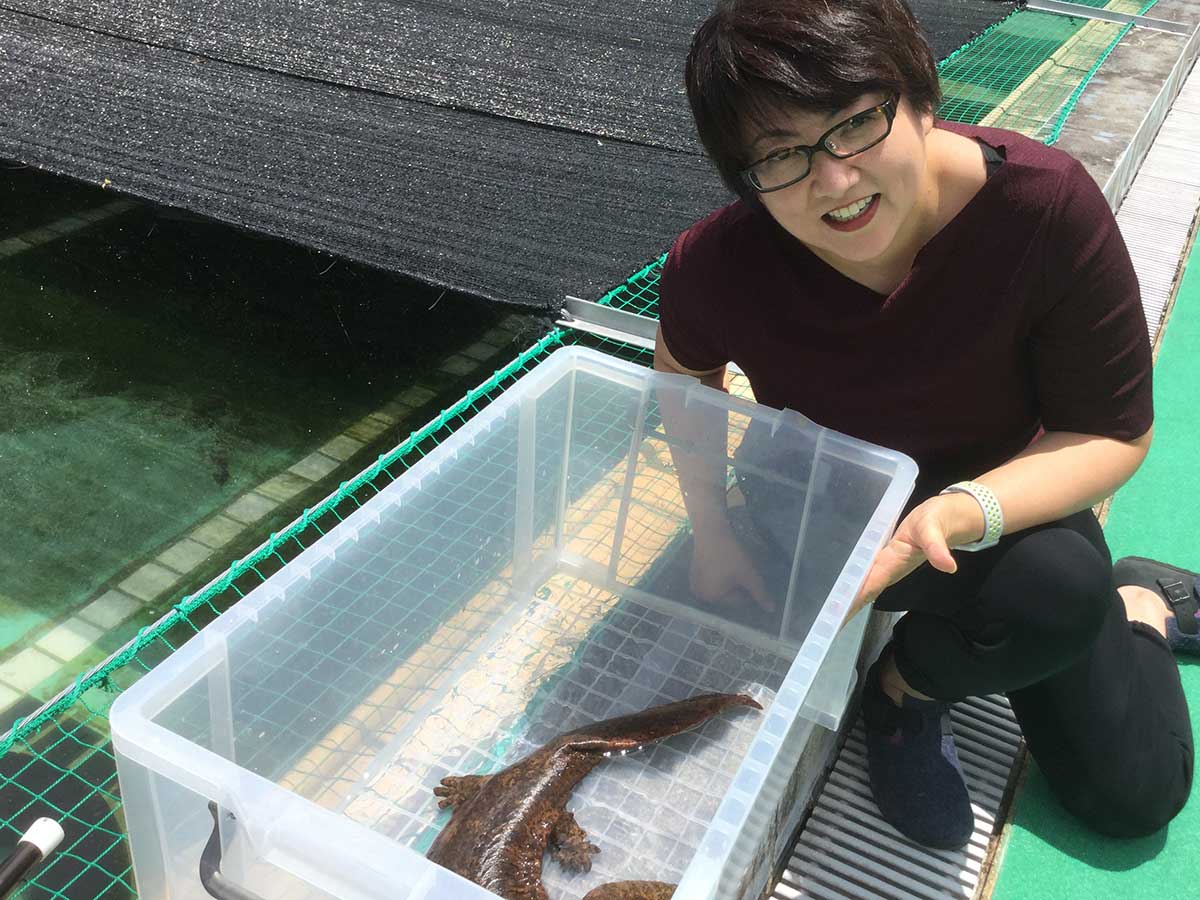 Touching a salamander