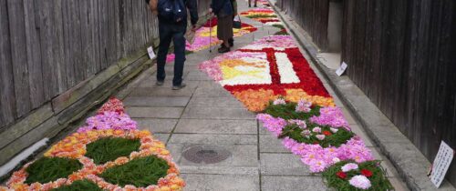 Floral Pavement in Uda-Matsuyama / 宇陀松山華小路