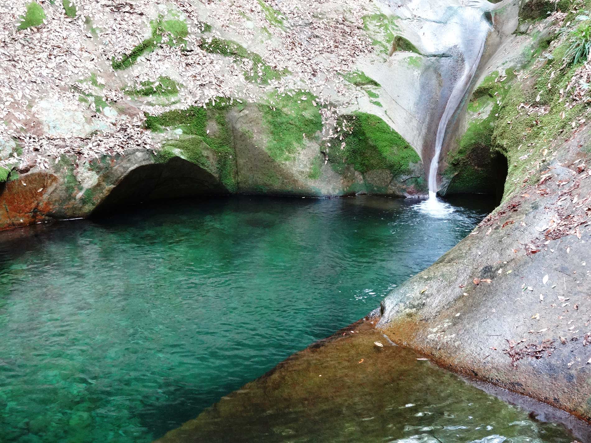 Ryuchin Falls / 龍鎮の滝