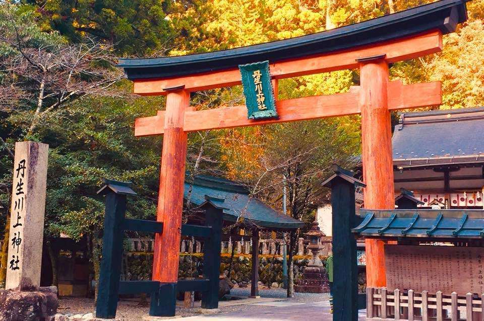 紅葉の丹生川上神社 / Niu-Kawakami Jinja in autumn