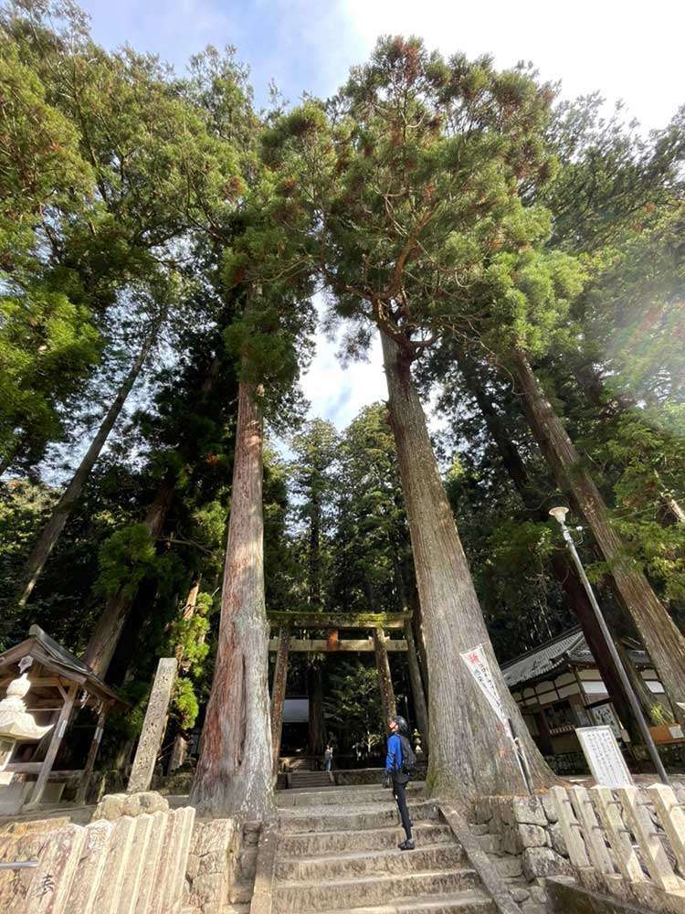 龍穴神社