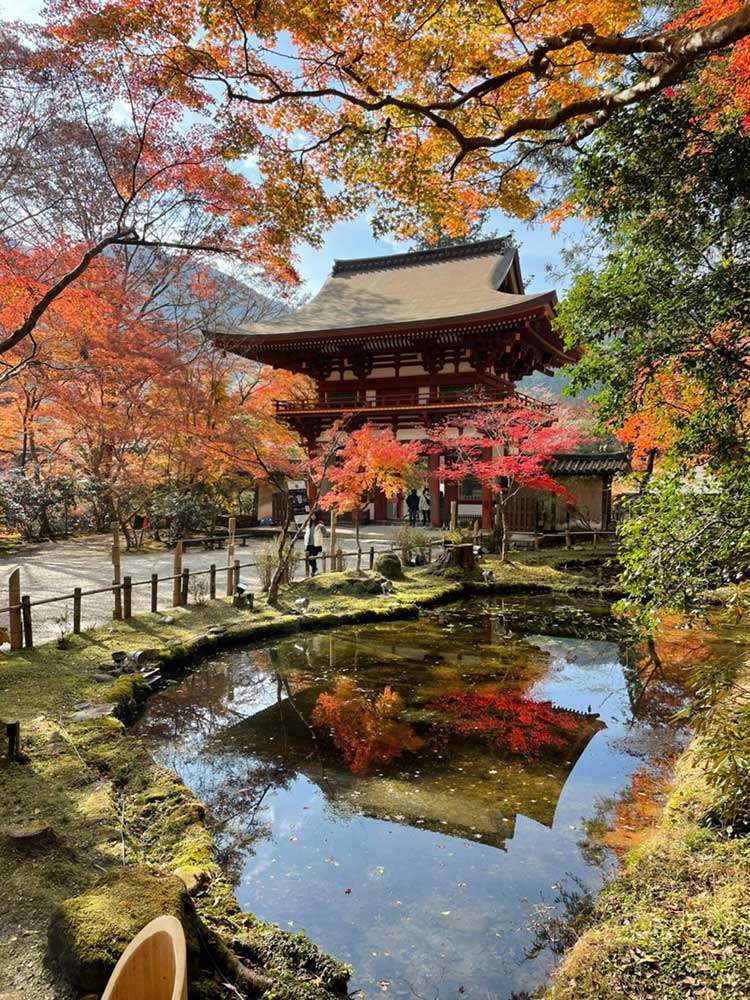 秋の室生寺・仁王門