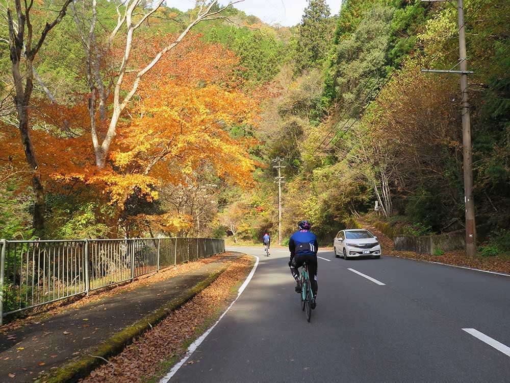 Leaving Murou-ji Temple