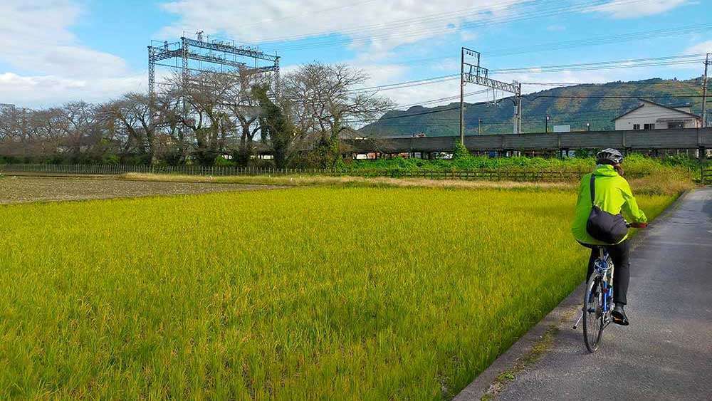 Riding in East Nara Nabari