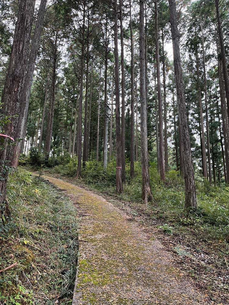 Path to Akaiwao Shrine
