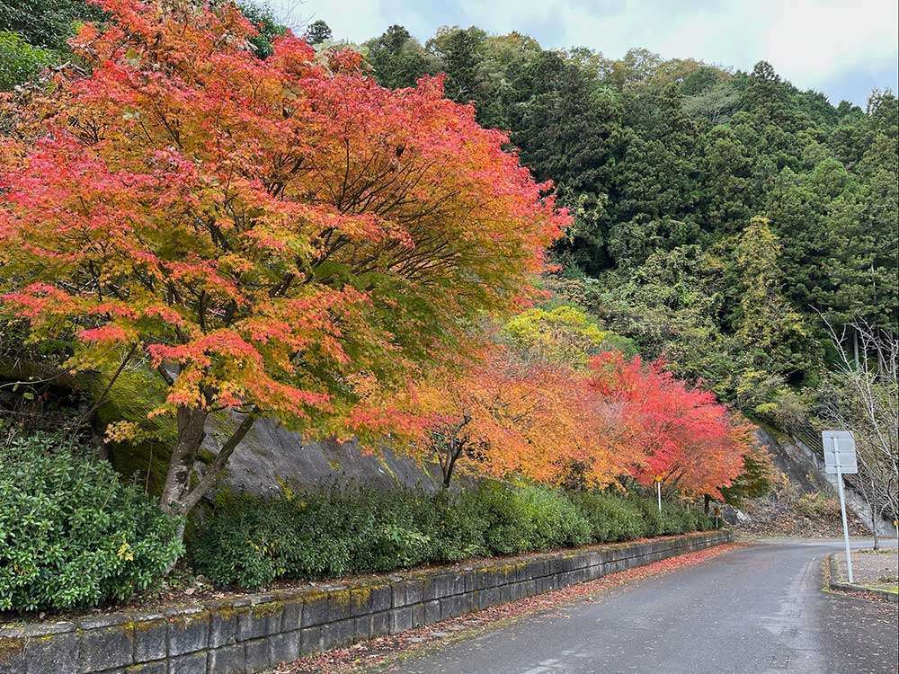 By Hinachi Dam