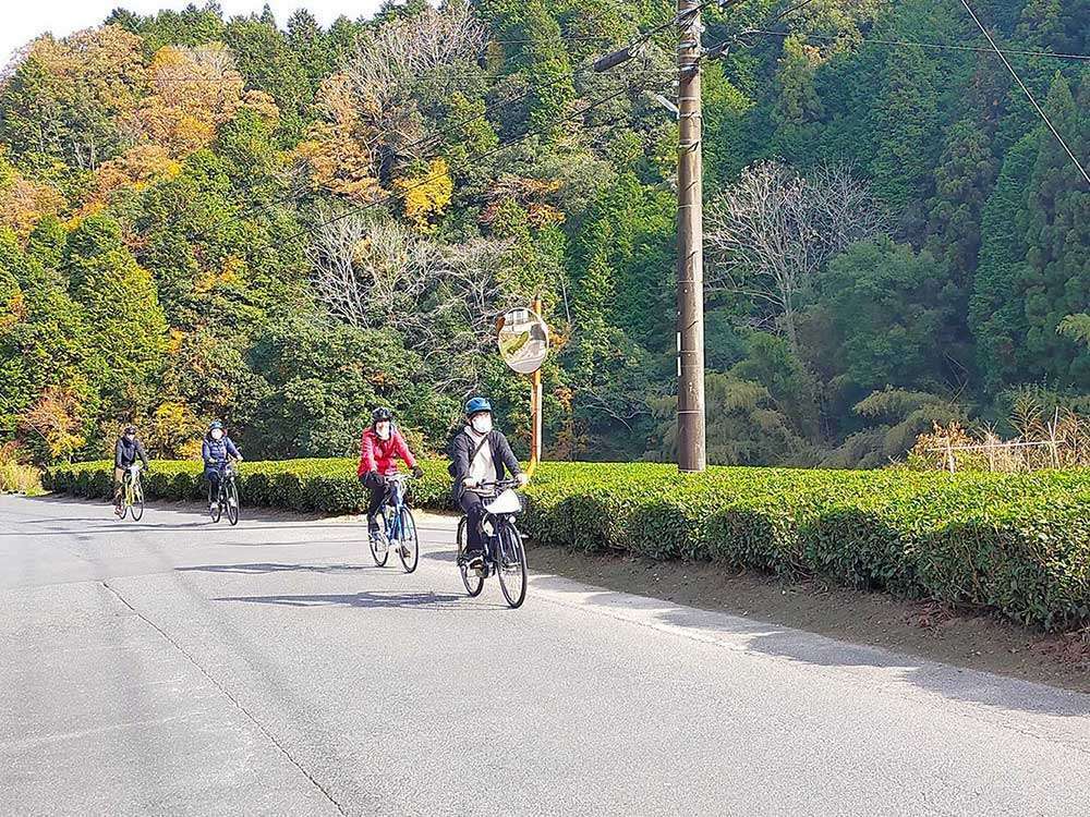 Cycling in Yamazae Village