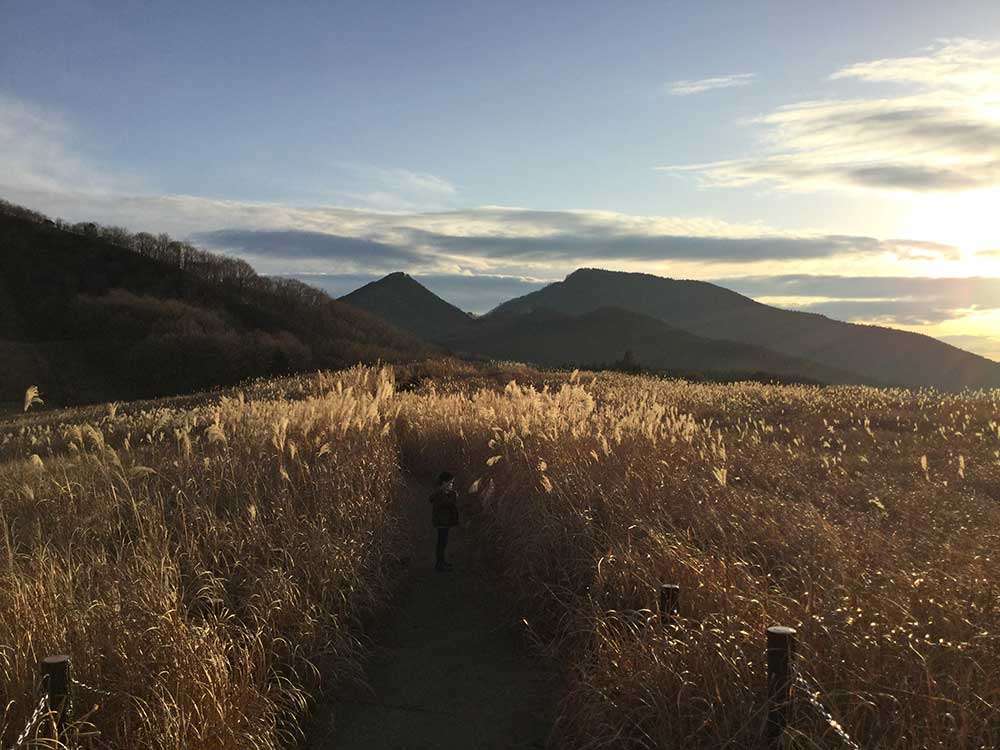 Soni Highland in autumn