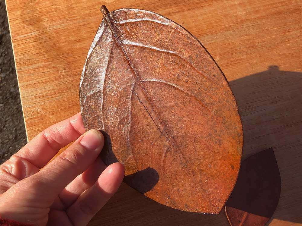 urushi leaf plate
