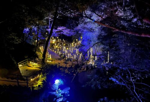 Akame 48 Waterfalls Bamboo Lantern Illumination / 赤目渓谷 幽玄の竹あかり