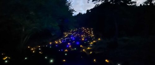 Nabekura Valley Summer Lights