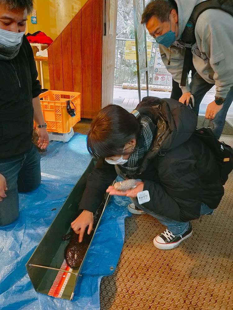 Touching a giant salamander