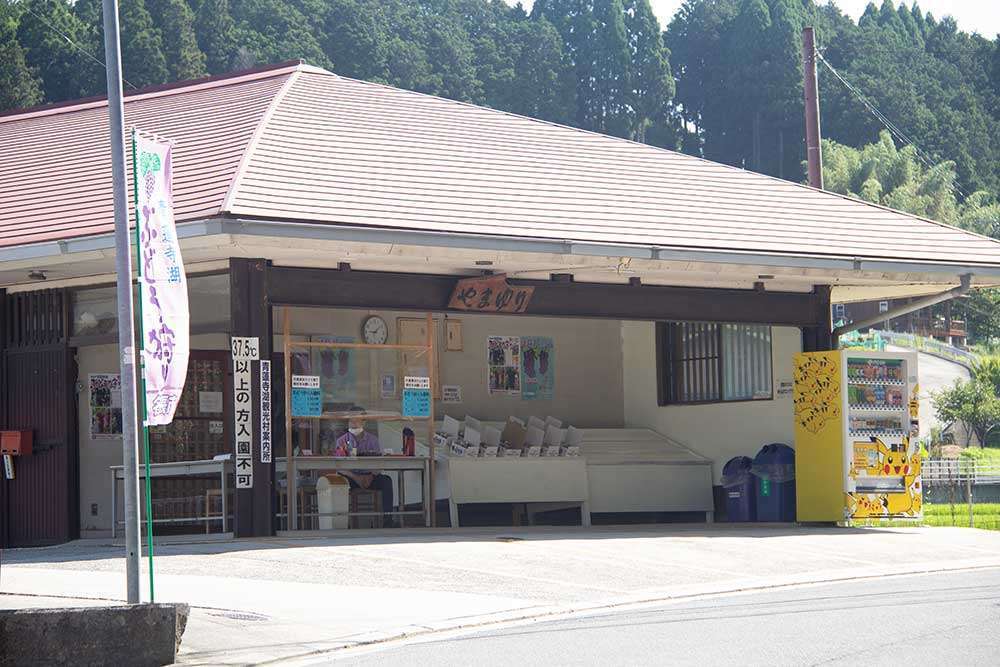 Shorenji Lake Grape Farm Tourist Information Center / 青蓮寺湖観光村