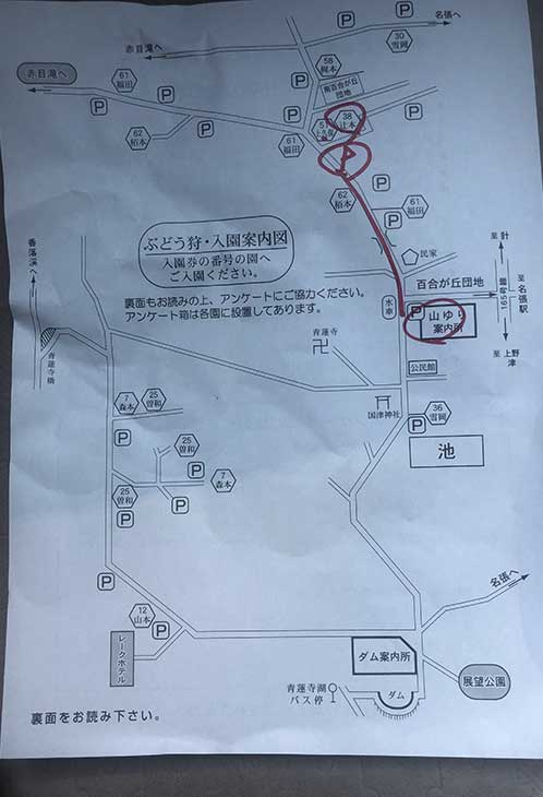 Map to grape garden / ぶどう園への地図