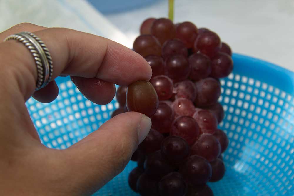 Let's eat grapes
