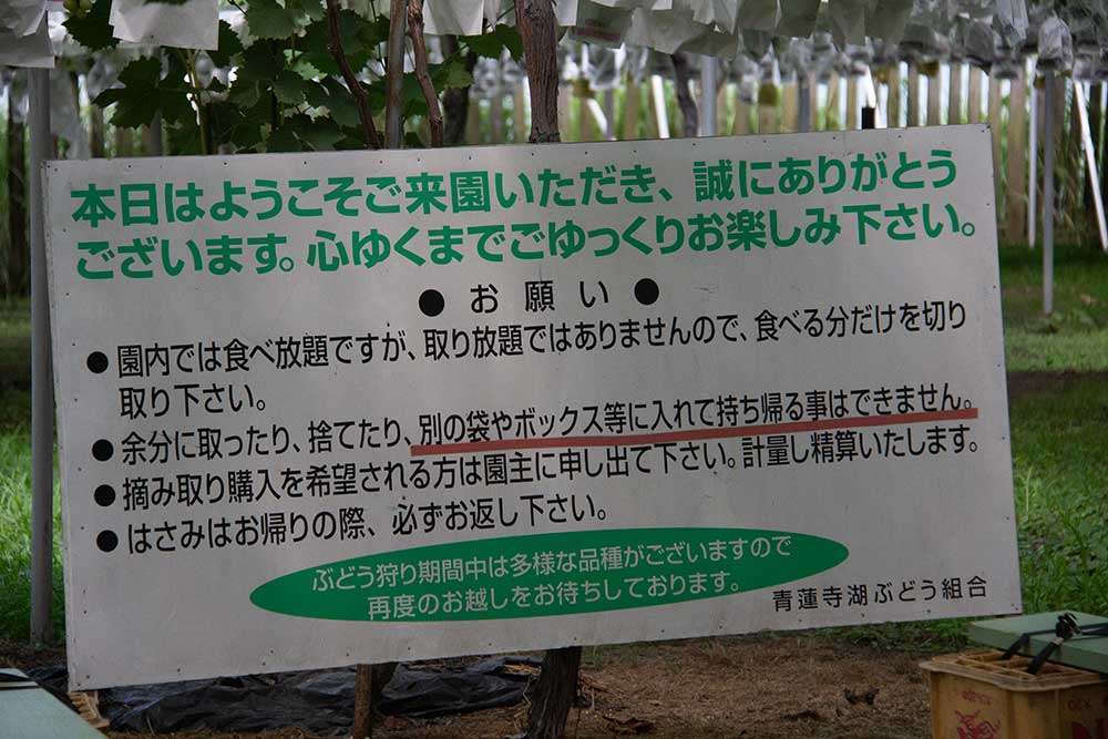 Sign at the grape garden