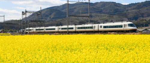 Kintetsu Limited Express Train