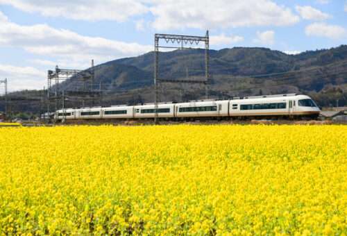 Kintetsu Limited Express Train
