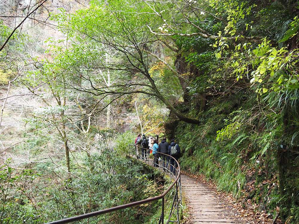 Akame Valley / 赤目渓谷