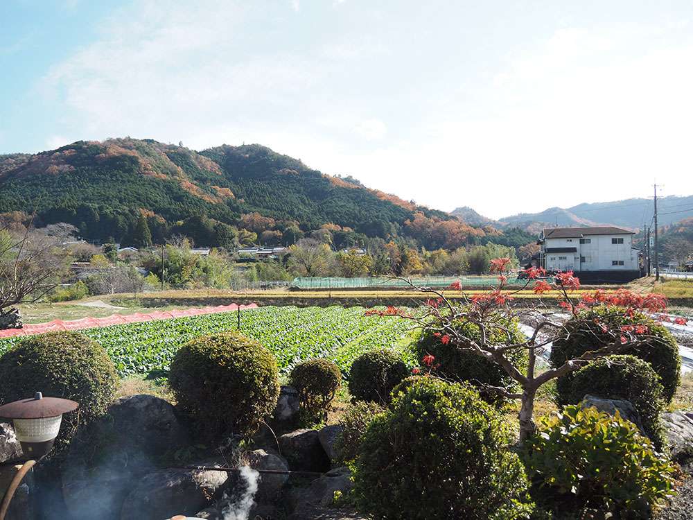 Satoyama / 里山