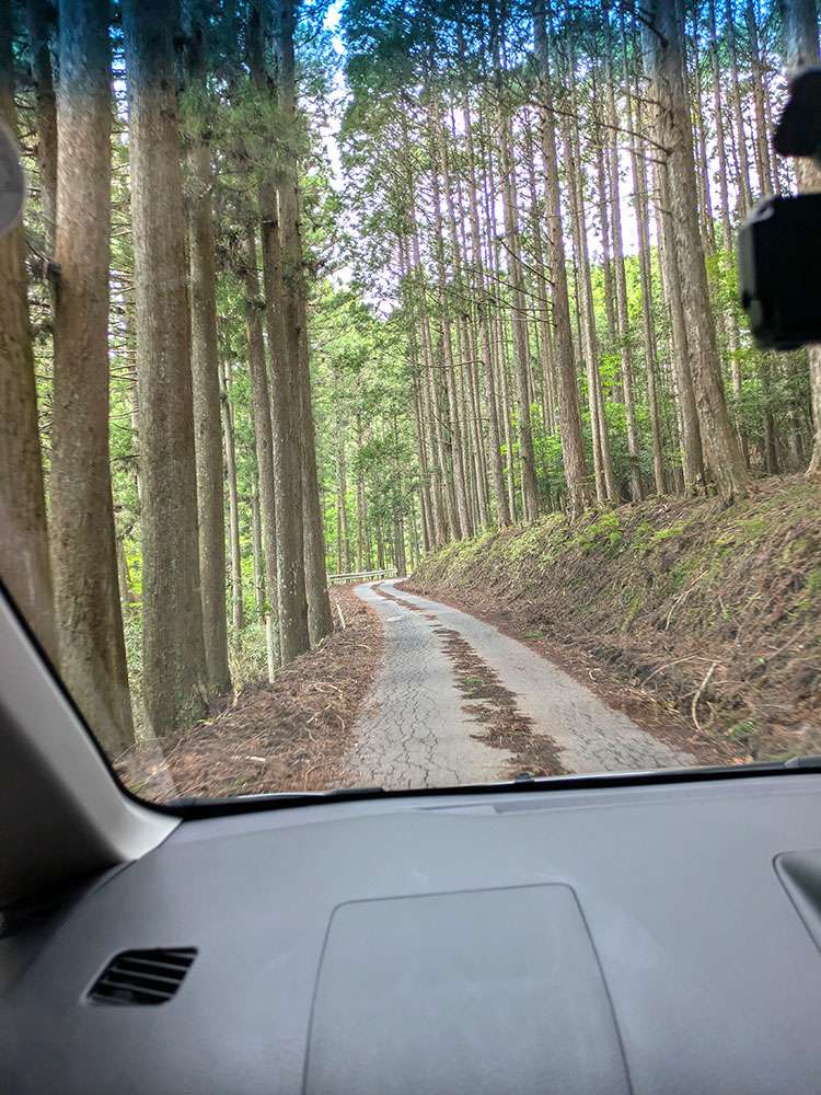 Mountain road