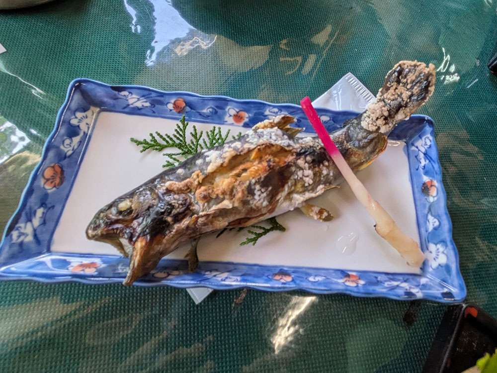 Grilled fish at Tenkoen