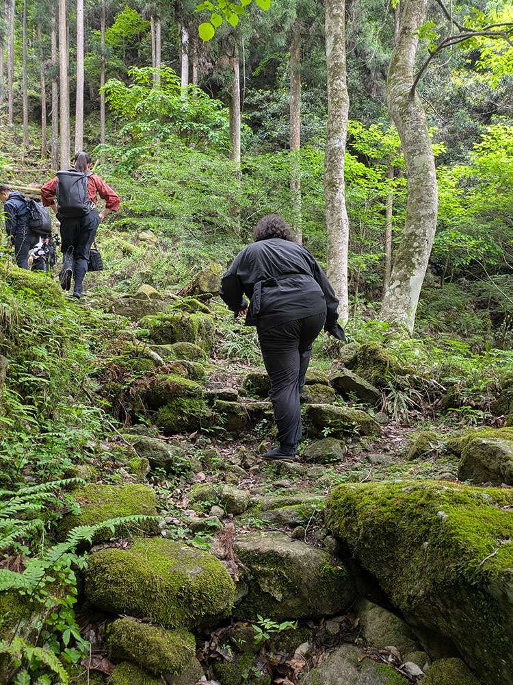 Dainichi trail / 大日滝へ