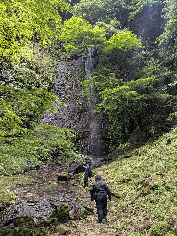 Dainichi Falls / 大日滝