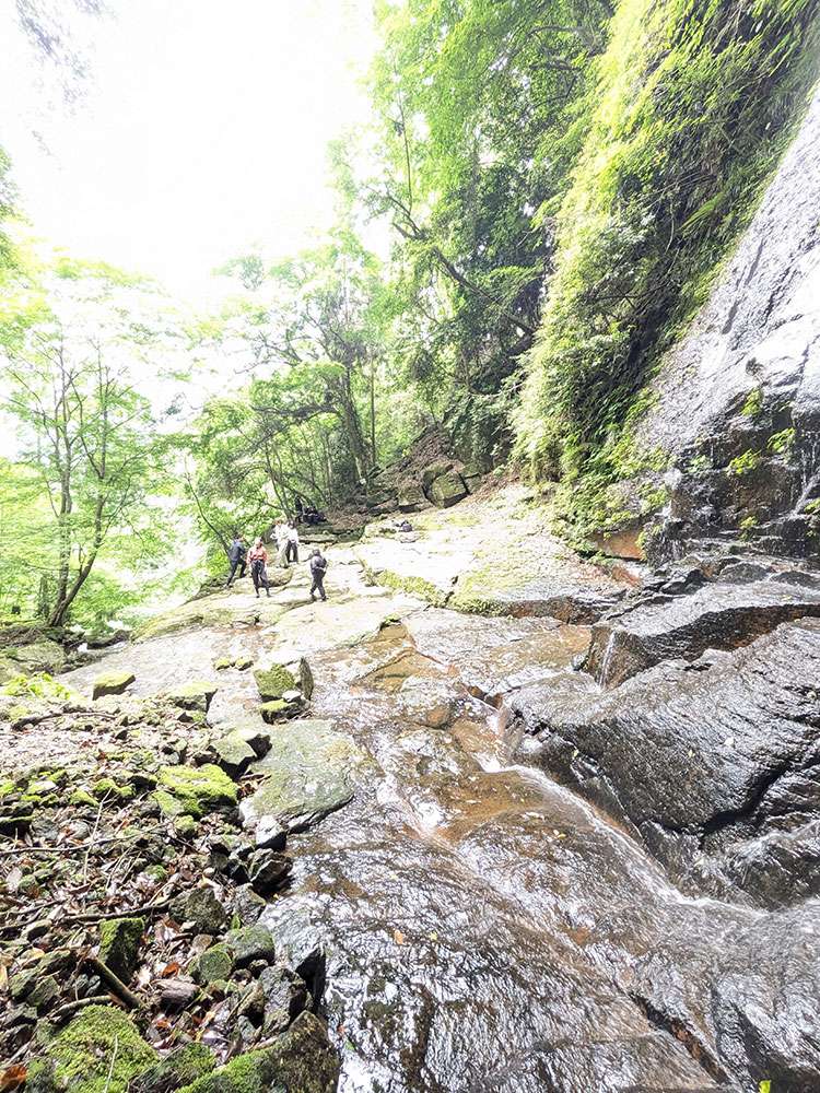 Dainichi Falls / 大日滝