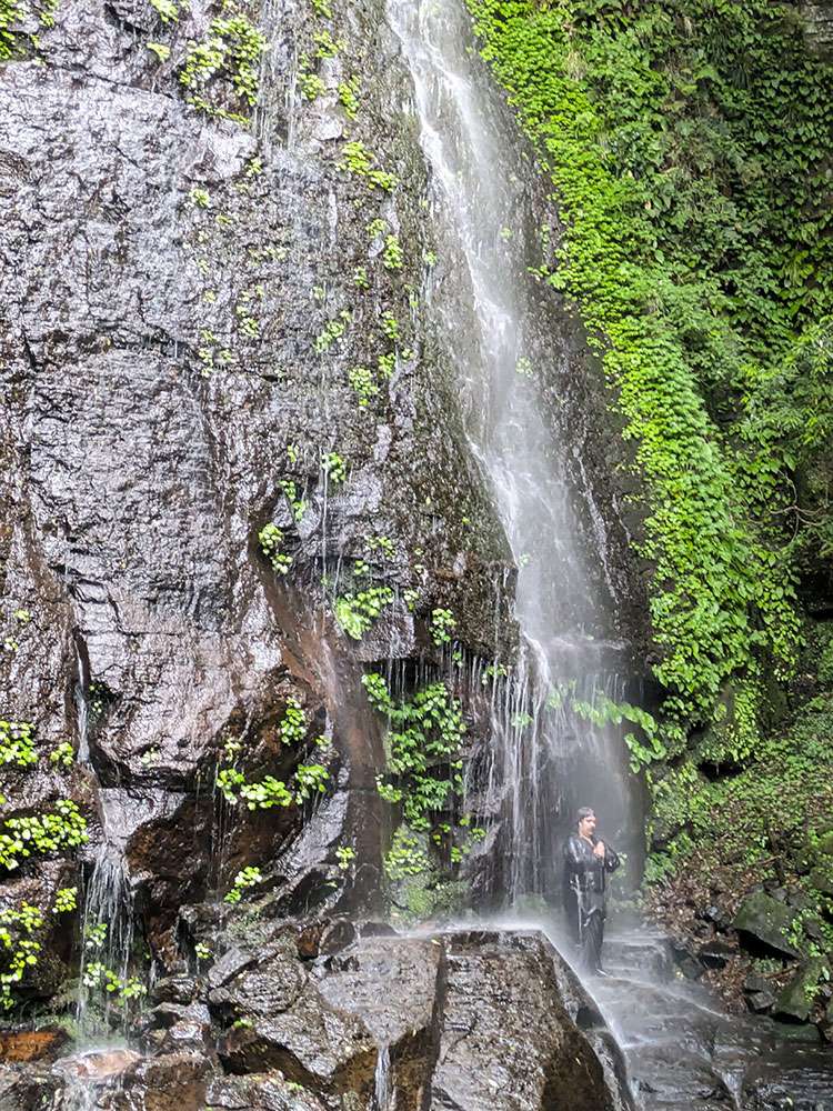 Meditation under waterfall / 滝打たれ